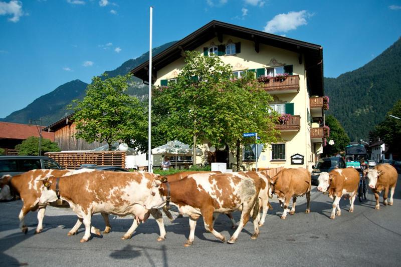 Hotel Gasthof Alter Wirt Farchant Exterior foto